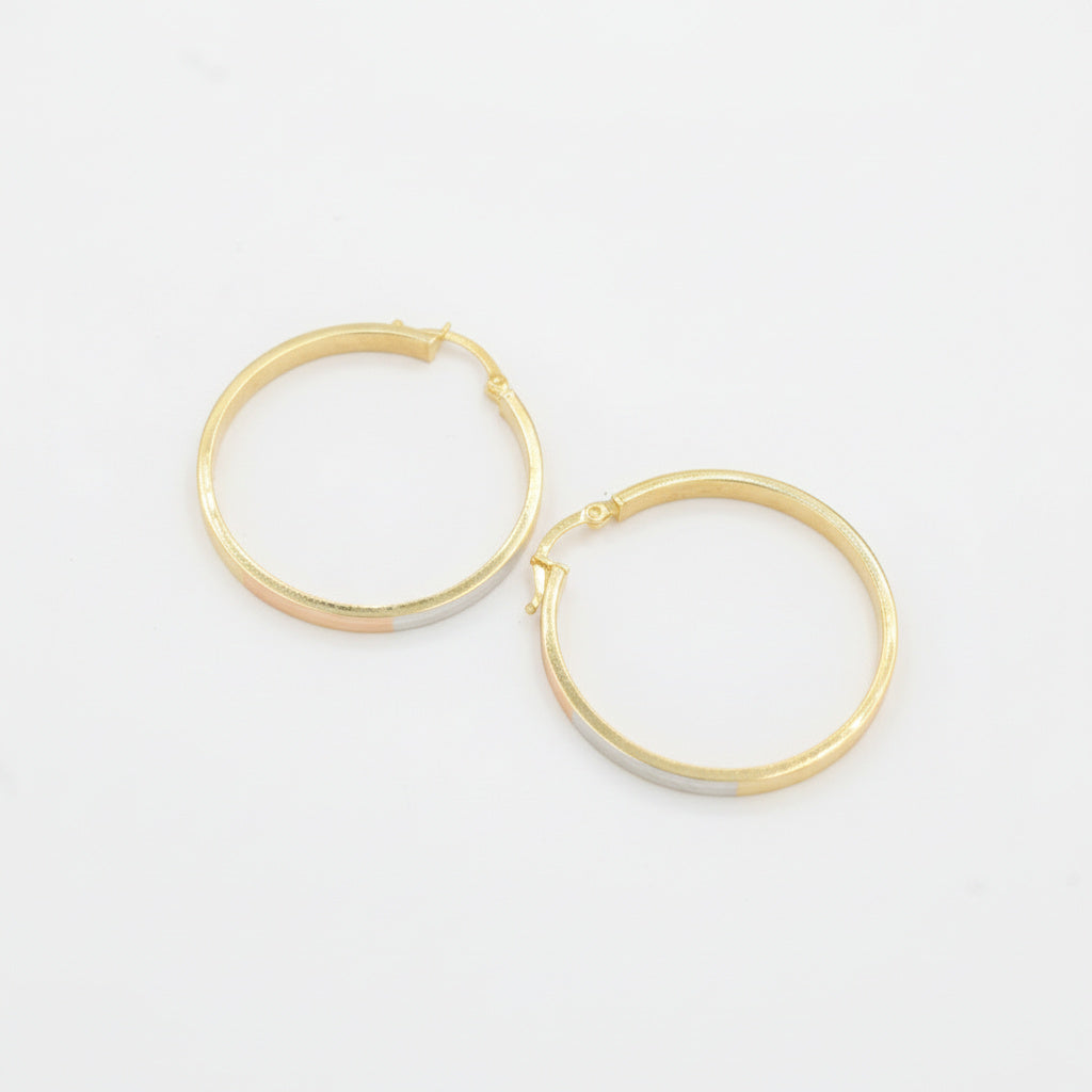 Arracada de Oro 14k Hueco de forma Circular Hueco con Diamantado Especial mod. 10030