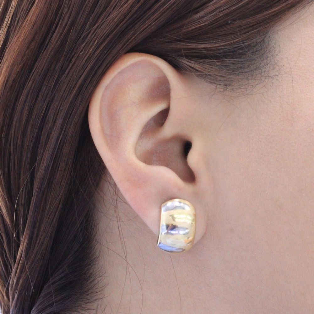 Arete con Broche Patente de Oro 14k Modelo Piel de Tigre Bicolor mod. 9107