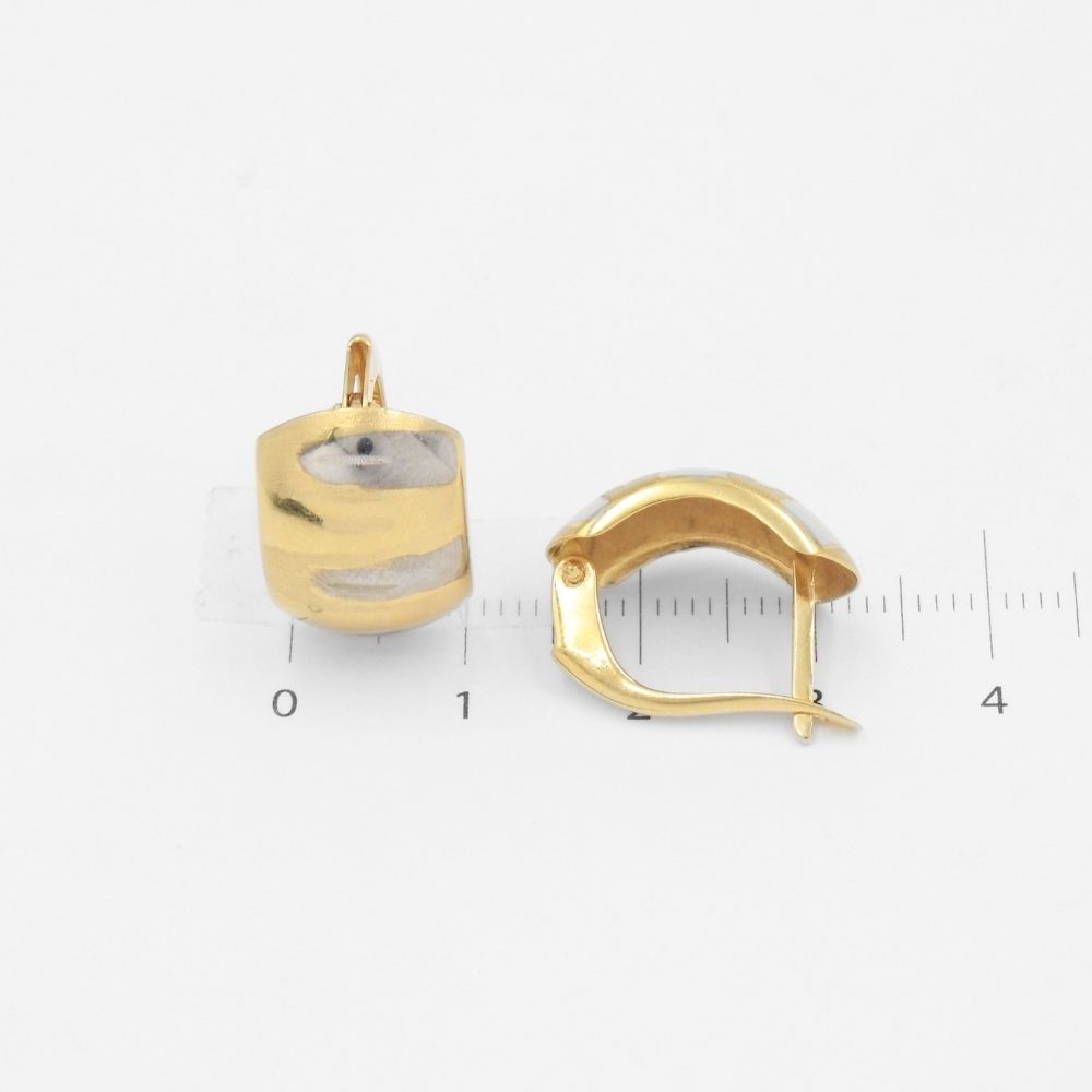 Arete con Broche Patente de Oro 14k Modelo Piel de Tigre Bicolor mod. 9107