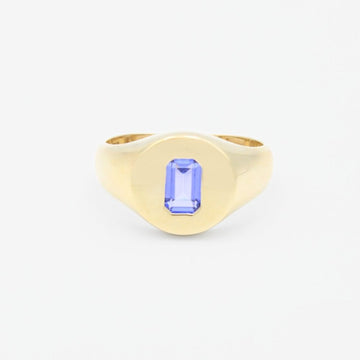 Anillo de Oro 14k con Frente Plano Incrustado de Zirconia Amatista mod. 9294