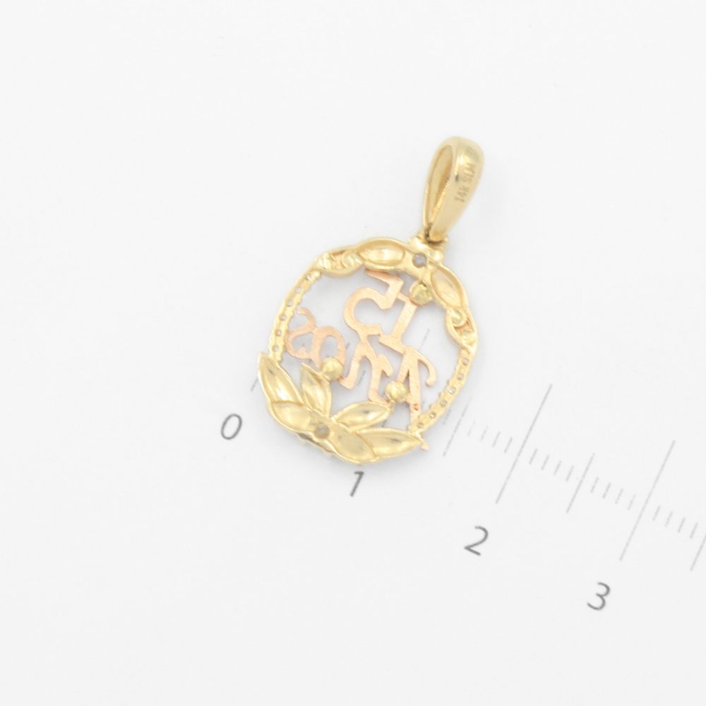 Dije de Oro 14k con Diseño Oval con Detalles de Hojas Incrustado de Zirconias Finas  mod. 9556