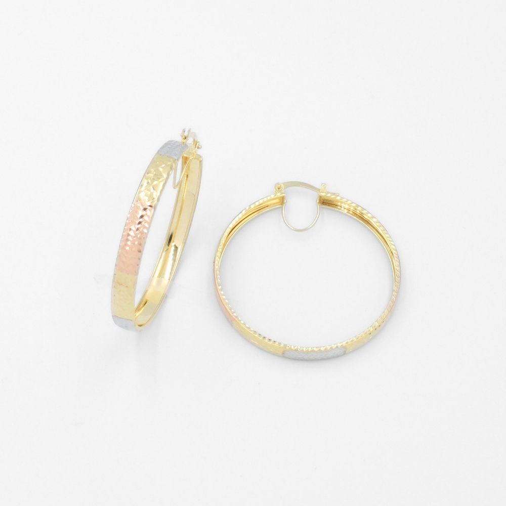 Arracada de Oro 14k Diseño Redondo y Hueco con Diamantado Especial mod. 9783