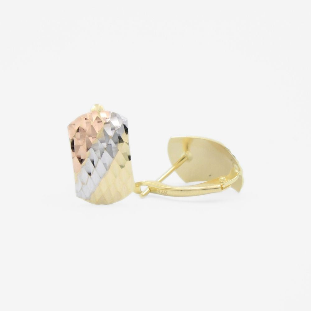 Arete con Broche Patente de Oro 14k con Diamantado Fino mod. 9114