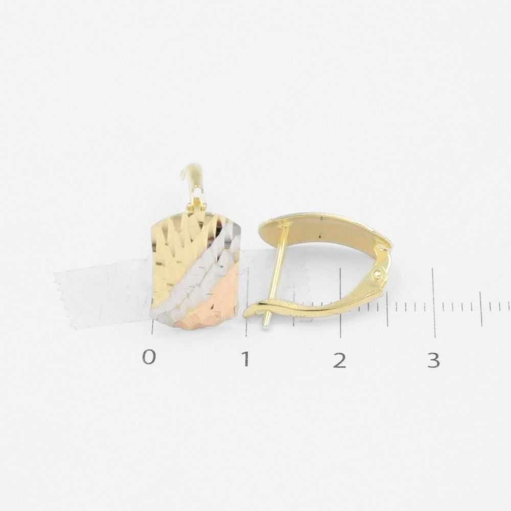 Arete con Broche Patente de Oro 14k con Diamantado Fino mod. 9114