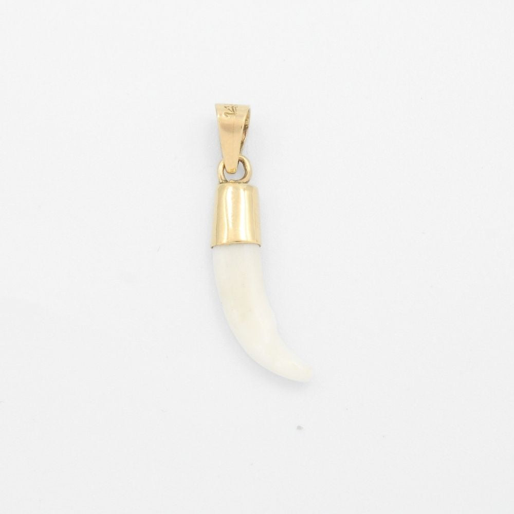 Dije de Oro 14k Colmillo de Coyote mod. 9486