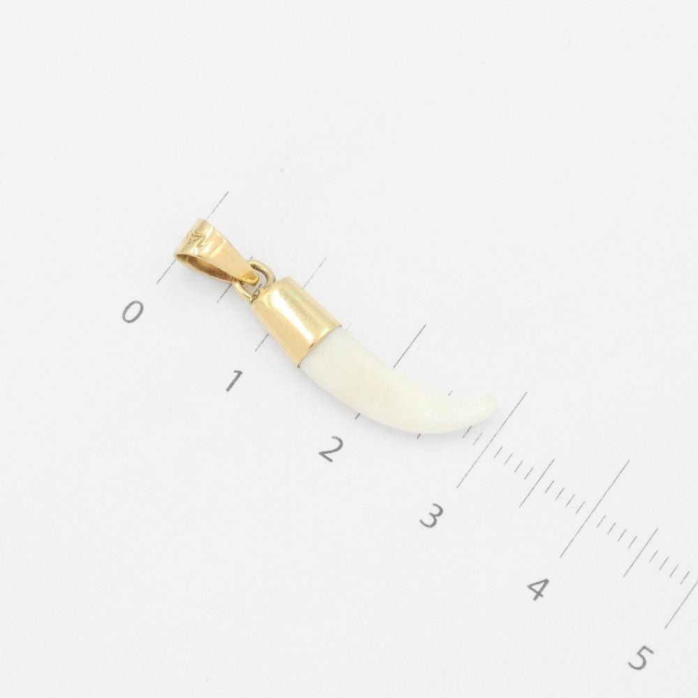 Dije de Oro 14k Colmillo de Coyote mod. 9486