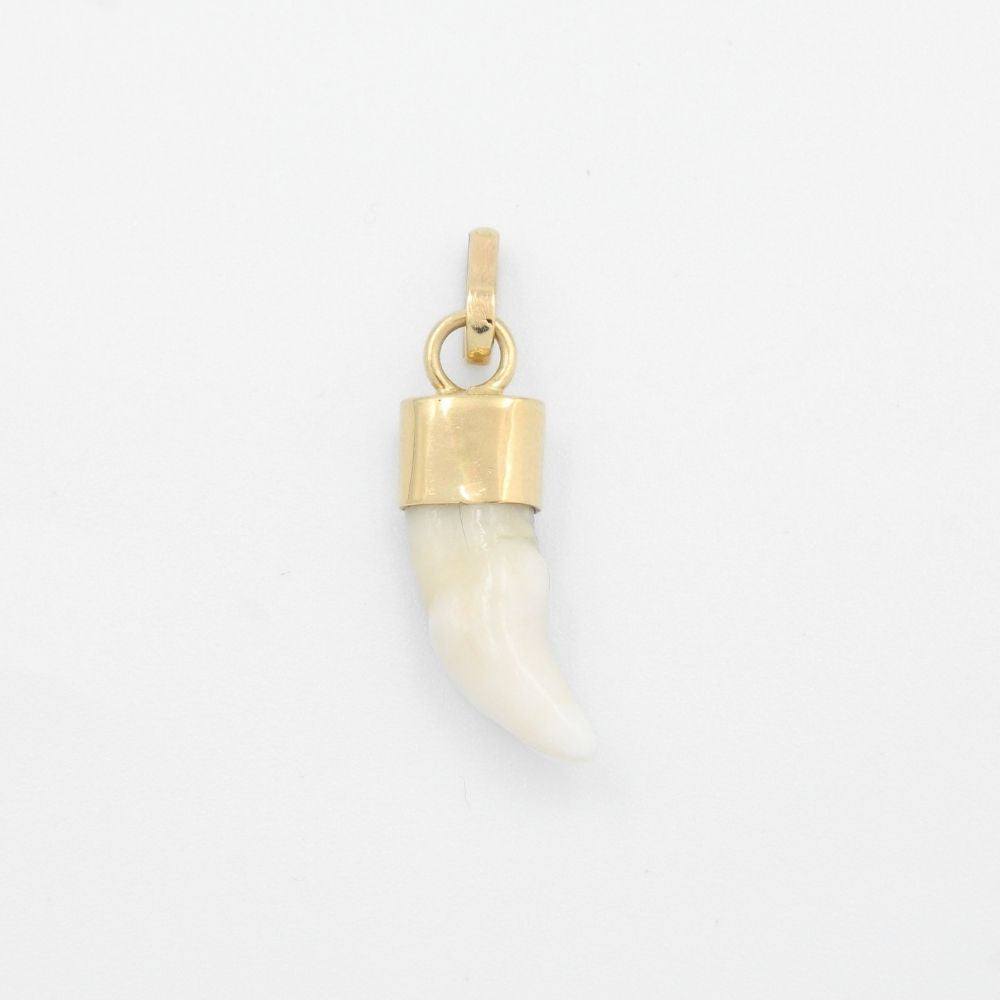 Dije de Oro 14k Colmillo de Coyote Brillante mod. 9487