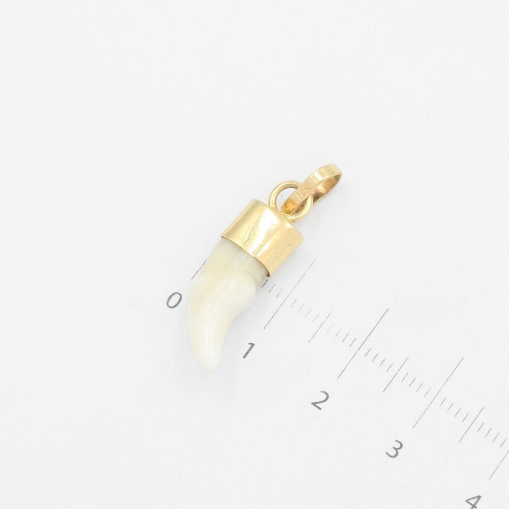 Dije de Oro 14k Colmillo de Coyote Brillante mod. 9487