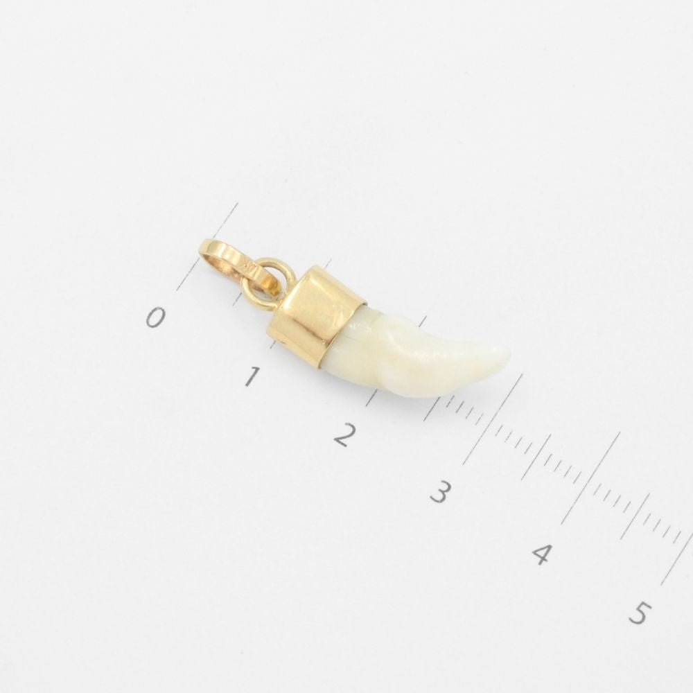 Dije de Oro 14k Colmillo de Coyote Brillante mod. 9487