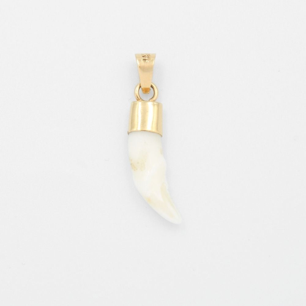 Dije de Oro 14k Colmillo de Coyote Brillante mod. 9491