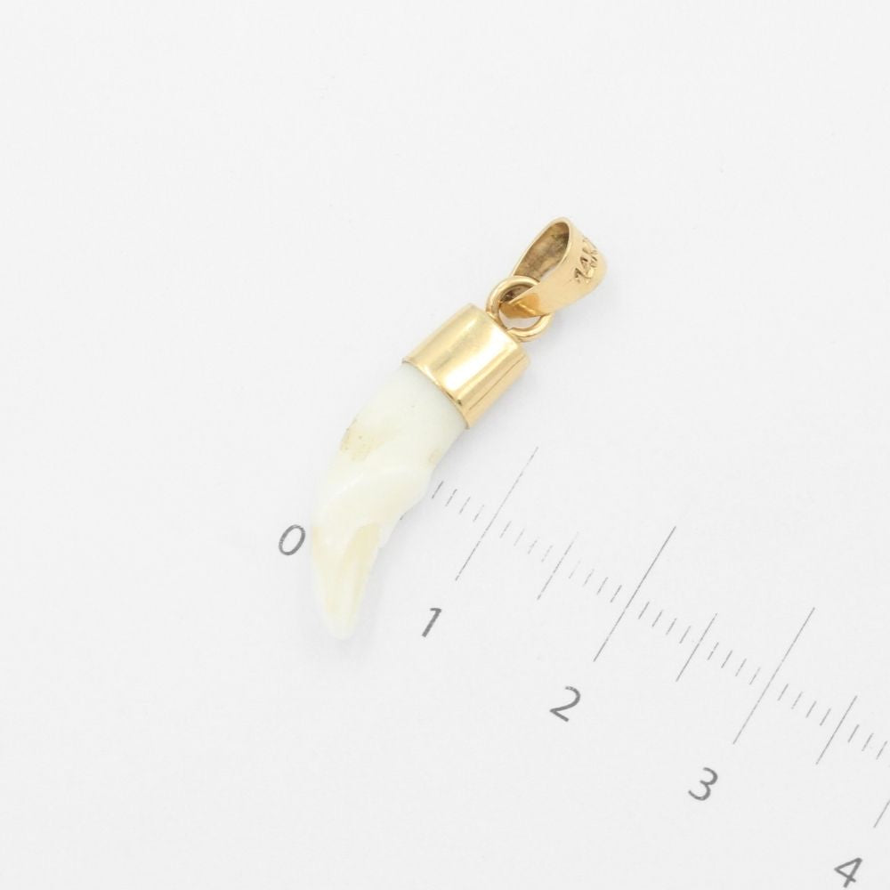 Dije de Oro 14k Colmillo de Coyote Brillante mod. 9491