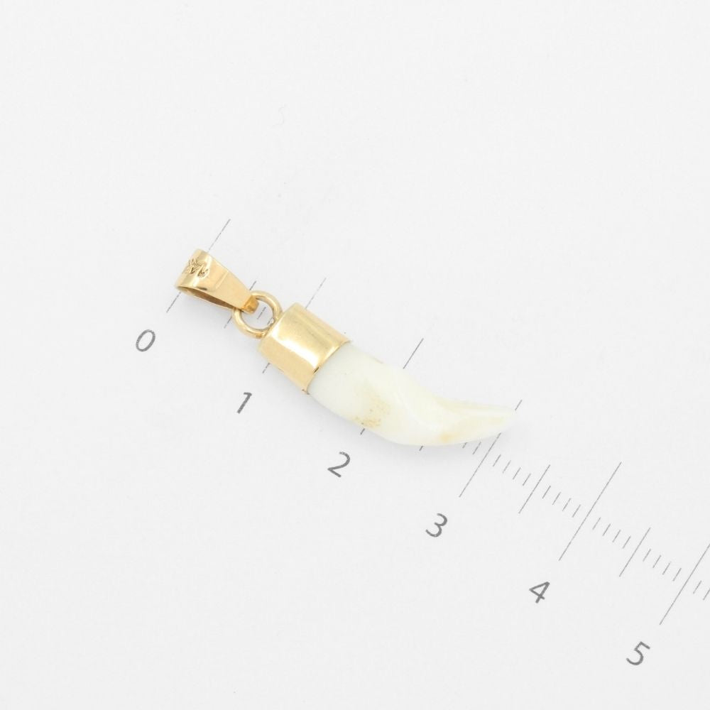 Dije de Oro 14k Colmillo de Coyote Brillante mod. 9491