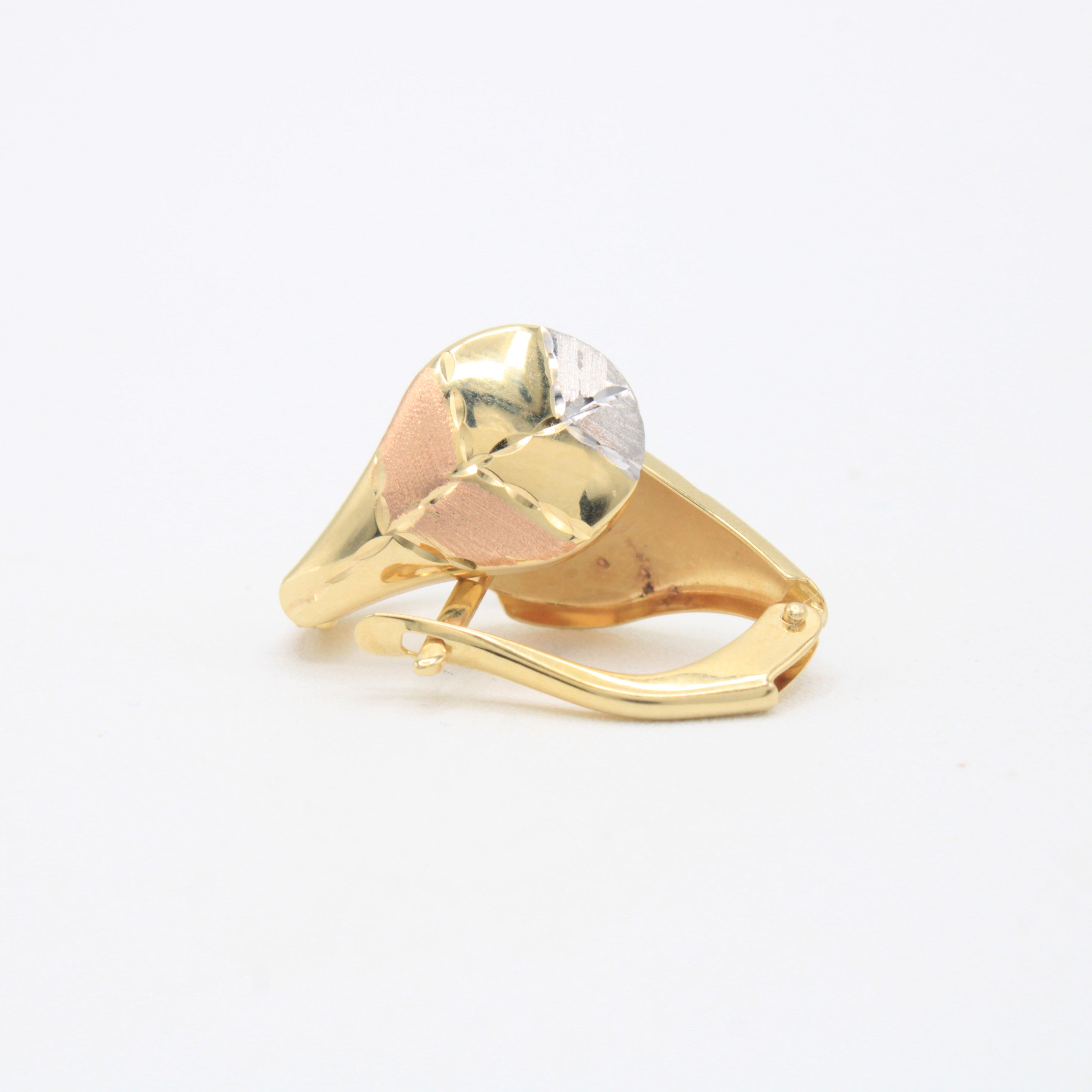 Arete con Broche Patente de Oro 14k con Detalles Matte Florentinos de mod. 11050