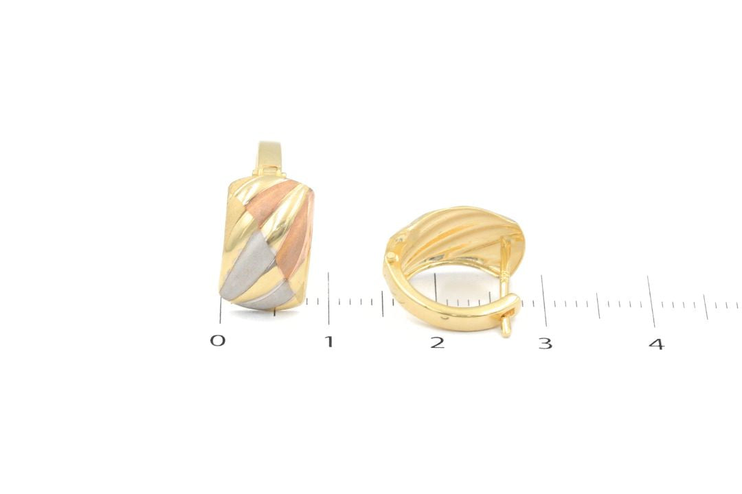 Arete con Broche Patente de Tonos Mate con Diseño Abultado en Oro Florentino mod. 6394