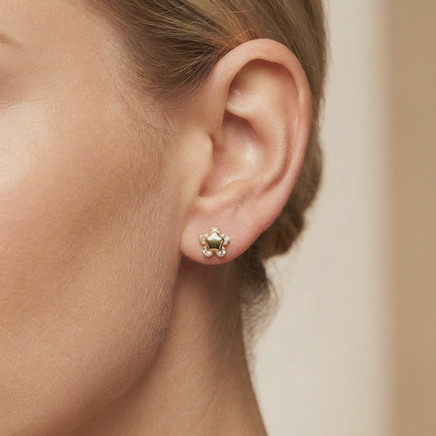 Arete de Oro 14k Flor Brillante con Zirconias mod. 10637