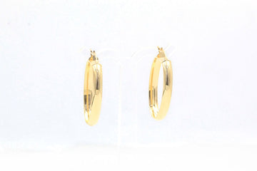 Arracada Ovalada con Diseño Hueco y Brillante mod. 3708